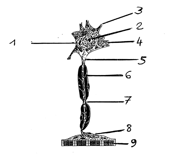 <p>1.</p>