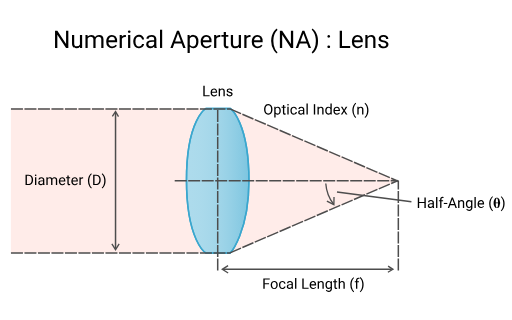 <p>$$resolution=\frac{0.61~\lambda}{numerical~aperture}$$ where numerical aperture = $$nsin(\theta)$$ </p><p>n: refractive index of the material between the sample and the lens ex: air = 1, oil =1.5</p><ul><li><p>NA is analogous to the cone of light coming from the specimen that reaches the lens </p></li></ul><p> </p>