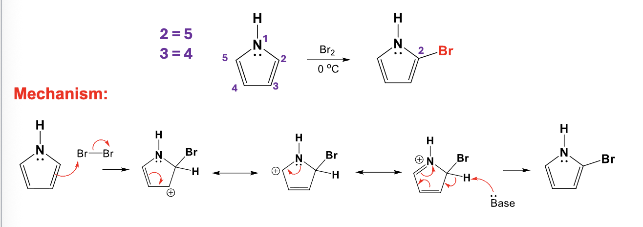 <ul><li><p>Add a bromine atome to the C2 position on a pyrrole ring by replacing an H atom</p></li></ul><p></p>