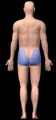 <p>butt</p>