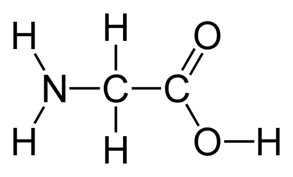 <p>Glycine.</p>
