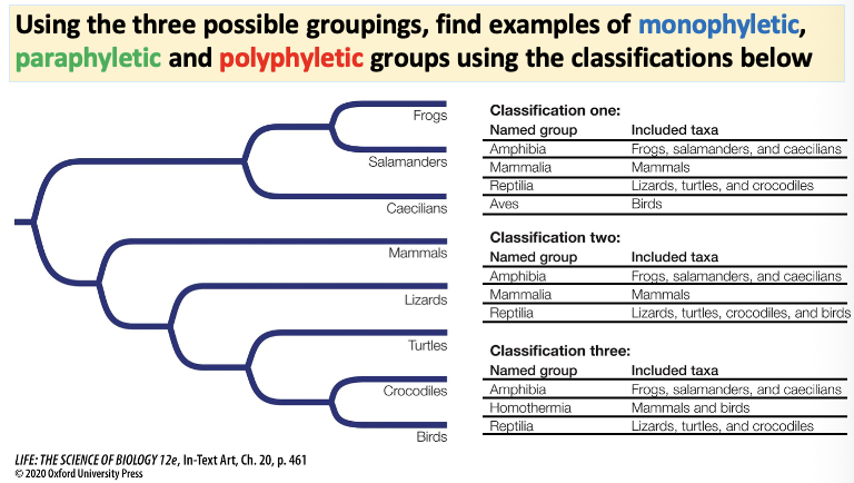 <p>Answer this question diva!</p>