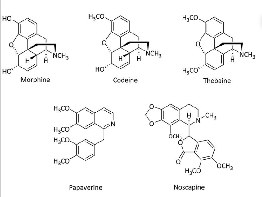 <p>Which category of secondary metabolites do all 5 of these structures belong to?</p>