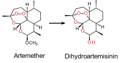 <ul><li><p><span>Artemether is metabolised into the active metabolite dihydroartemisinin. It works against the erythrocytic stages of P.falciparum by inhibiting nucleic acid and protein synthesis.</span></p></li><li><p><span>Mechanism: interaction with heme, or ferrous ions, in the parasite food vacuole → cytotoxic radical species.</span></p></li><li><p><span>Artemether has a rapid onset of action and is rapidly cleared from the body. (rapid symptomatic relief by reducing the number of malarial parasites?)</span></p></li><li><p><span>Lumefantrine has a much longer half life and is believed to clear residual parasites</span></p></li></ul><p></p>