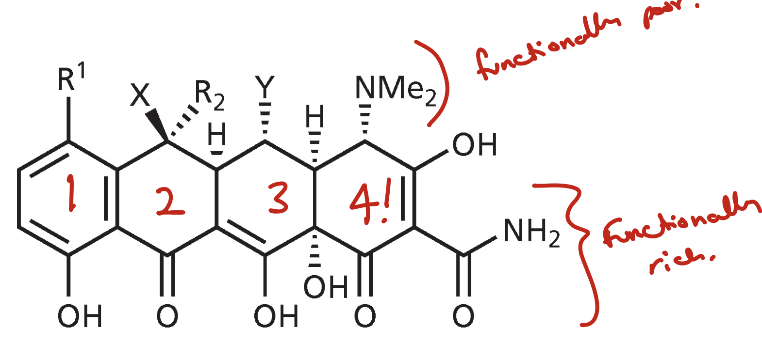 <p>Protein synthesis inhibitors for bacteria</p><ul><li><p>They have a functionally rich and a functionally poor side</p></li><li><p>They bind to the decoding site and inhibit tRNA binding</p></li><li><p>Binds exclusively to backbone and nucleobases of rRNA</p></li></ul><p></p>