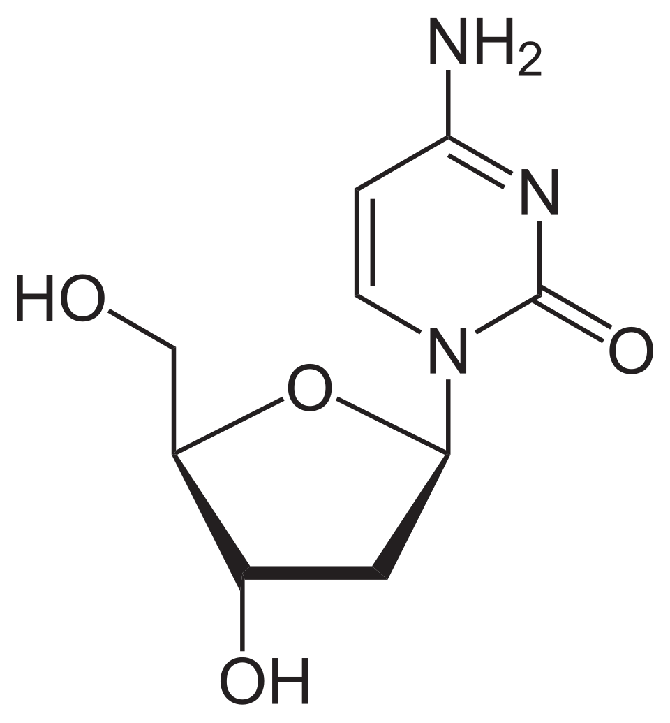 <p>name this nucleoside</p>