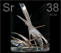 <p>38</p>