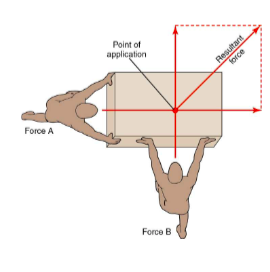 <p>Two or more forces acting on an object, push or pull in different directions</p>