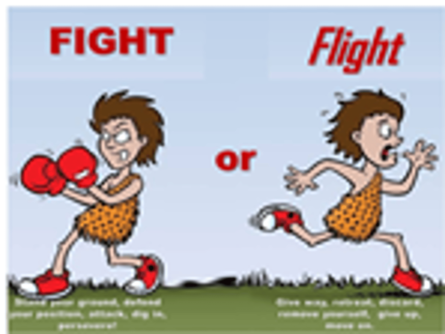 <p>- Acts to prepare the body for action in stressful situations</p><p>- This is often called the fight-or-flight response</p>
