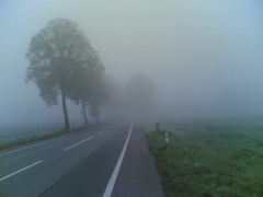 <p>fog, mist</p>