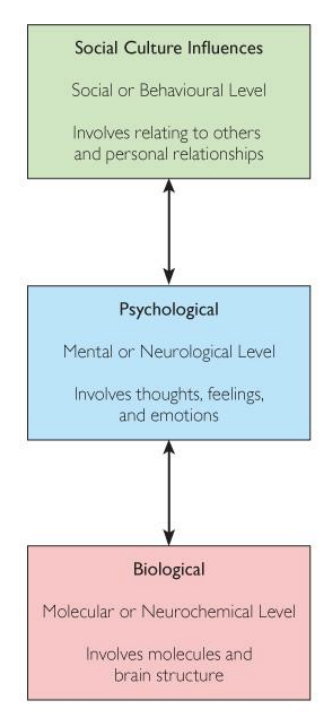 <p><strong>Levels of analysis for depression</strong></p>