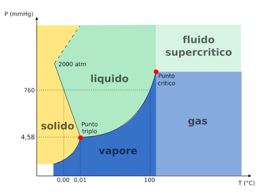 <p>Qual è la differenza principale tra il diagramma di fase dell'acqua e quello della CO₂?</p>