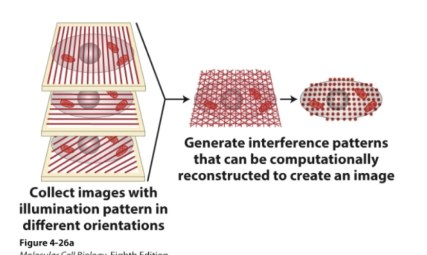 <p><span>Super resolution technique that uses patterned light and computational reconstruction to double resolution and create an image </span></p>