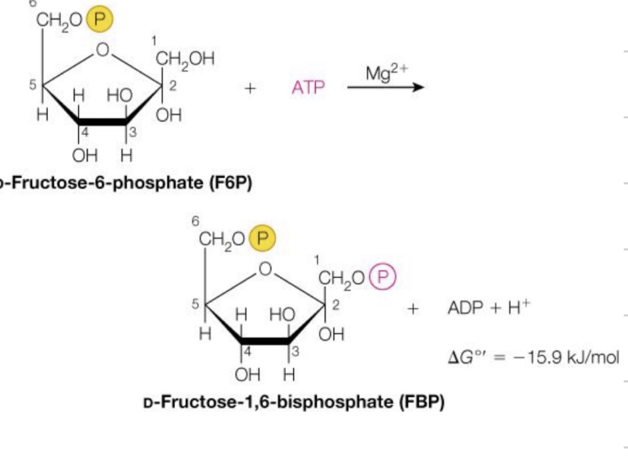 <p>What reaction is this?</p>