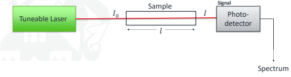 <p>A laser is shone at the sample, which absorbs a specific wavelength. A spectra is then created from this data.</p>