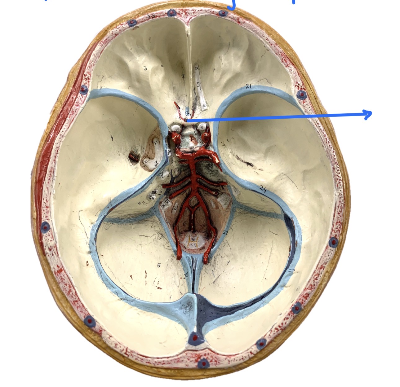 knowt flashcard image