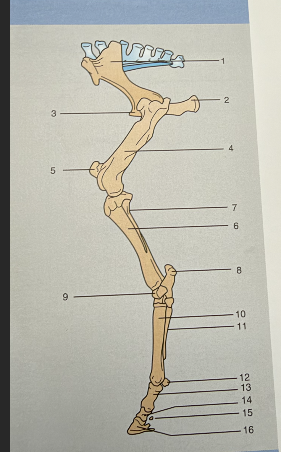 <p>#11</p>