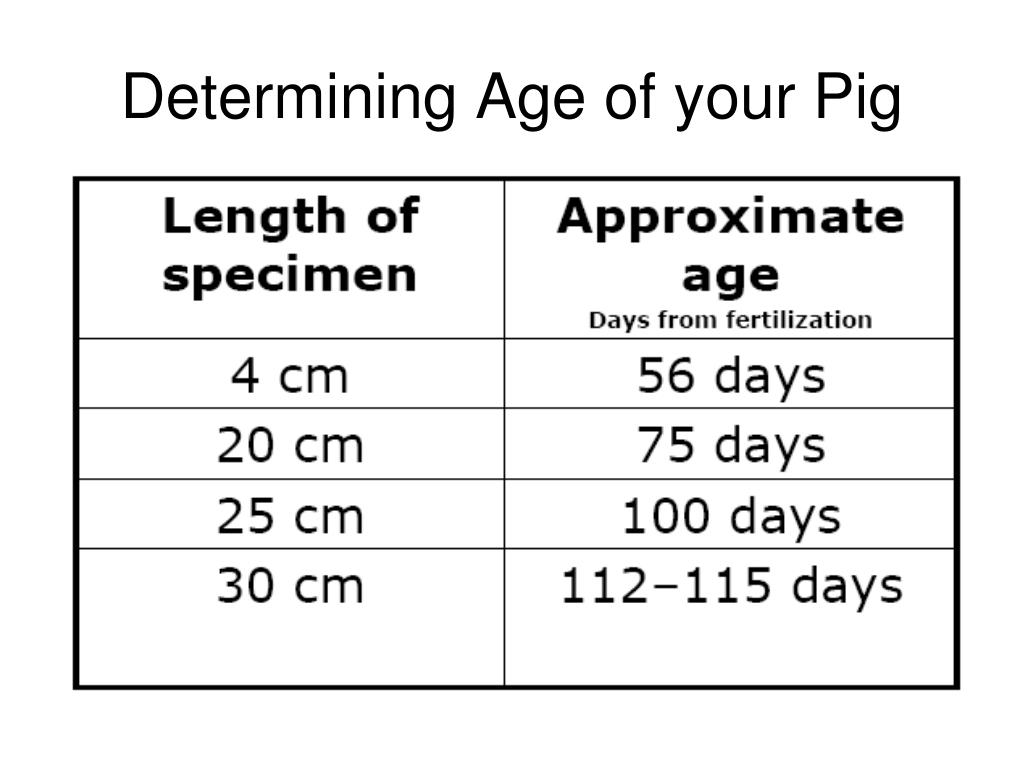 <p><span style="background-color: transparent;">Often estimated using body size, weight, and tooth development.</span></p>