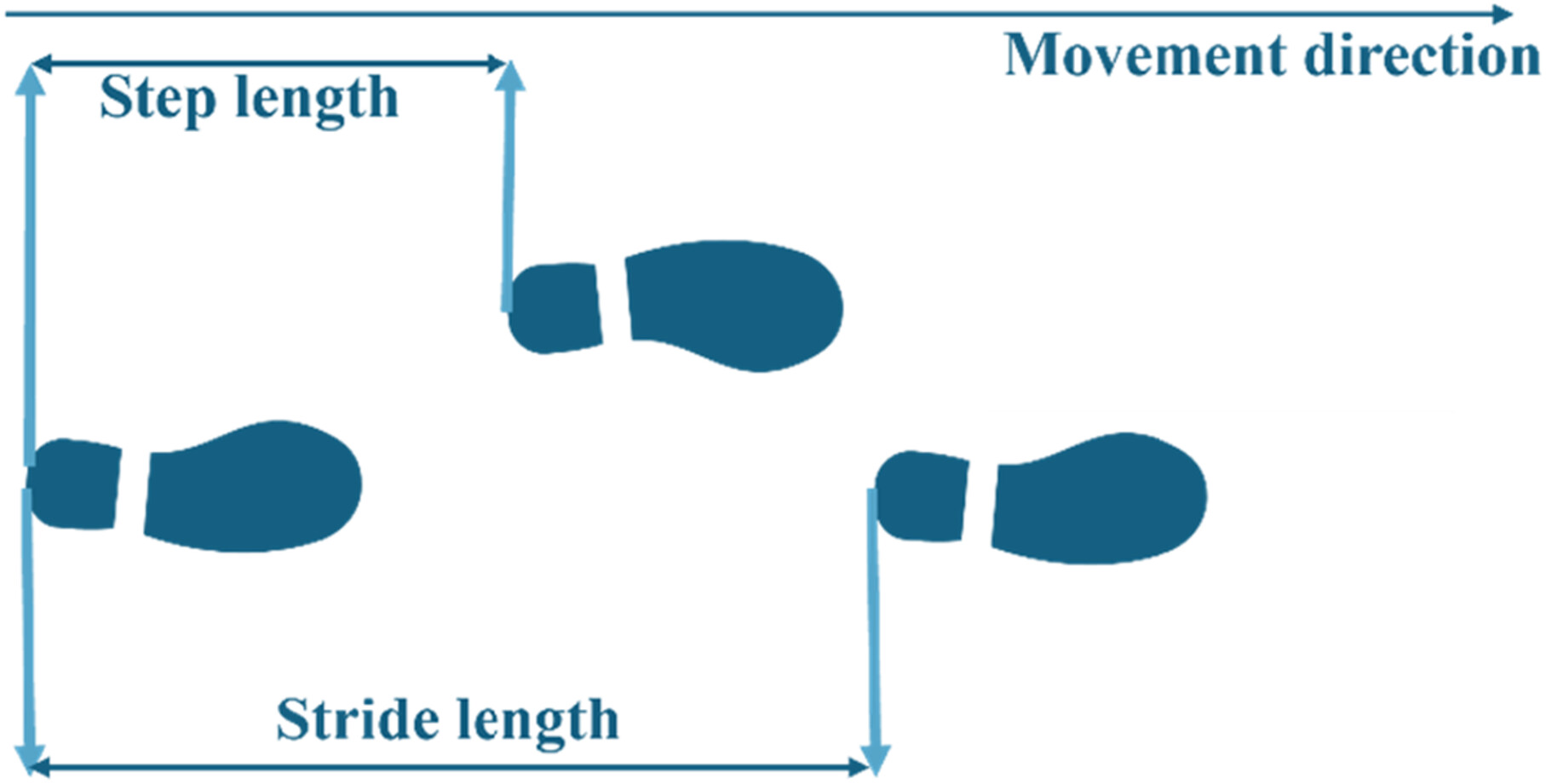 <p>Distance between the toe and heel of two consecutive footsteps. </p>