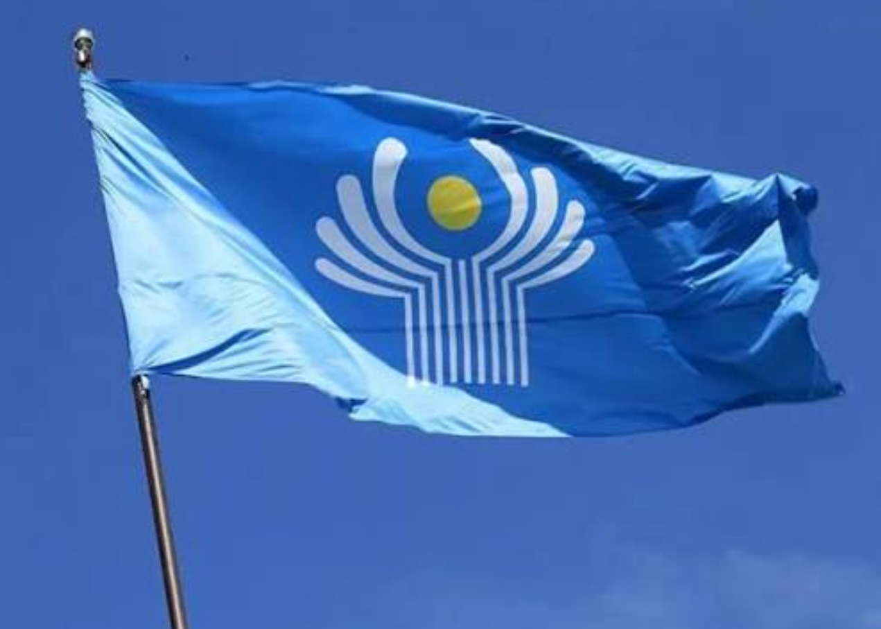 <p>What did Yeltsin organise after the coup?</p>