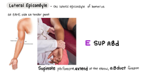 <p>E SUP ABd</p>