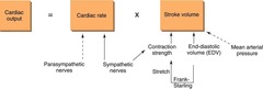 <p>Volume of blood pumped by heart per minute.</p>