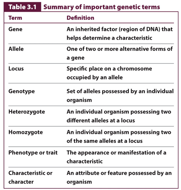 <p>What is genotype?</p>