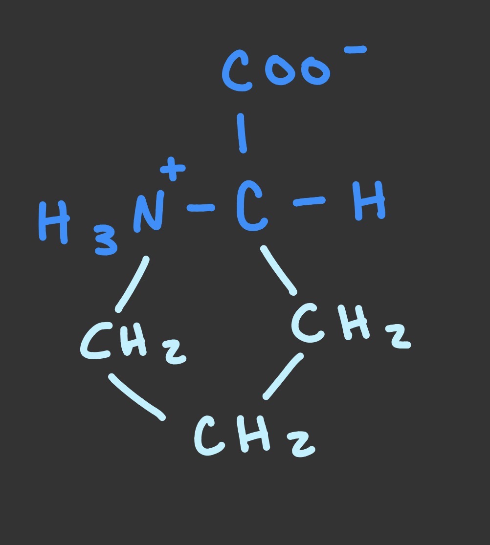 <p>Pro, P, non-polar</p>