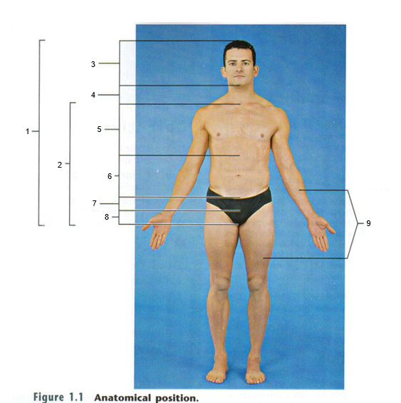 <p>2</p>