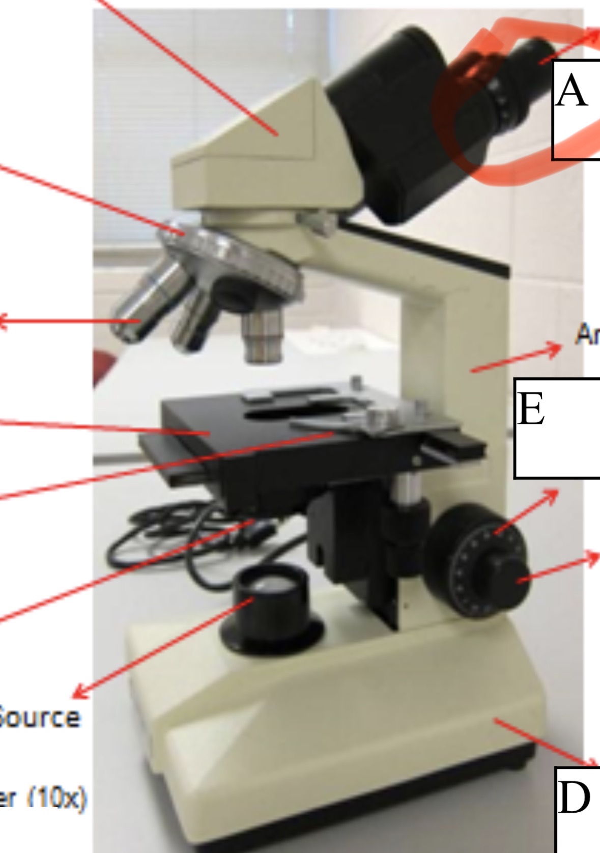 <p>What is the name of circled part </p>