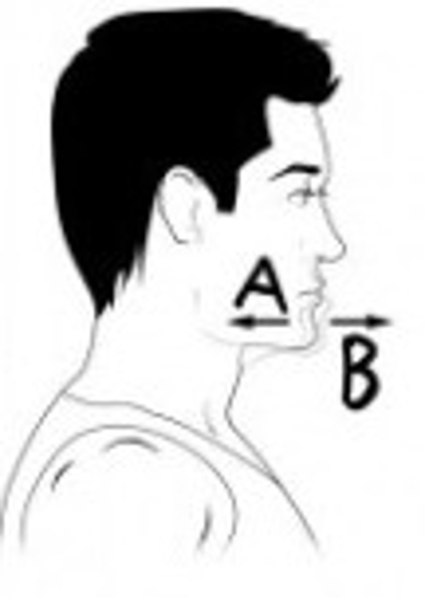 <p>Which term is used to describe the movement indicated by A? (hint: this movement is specific the the scapula mandible)</p>