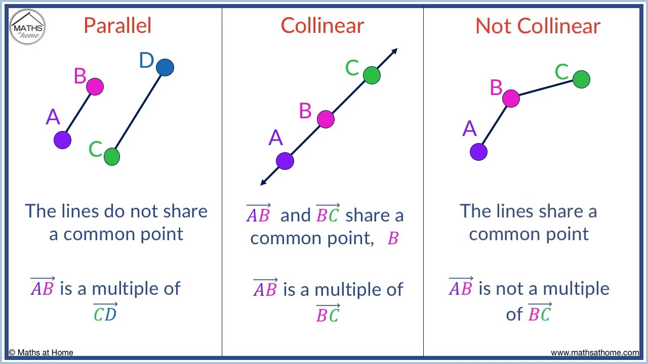 <p>points that lie on the same line</p>
