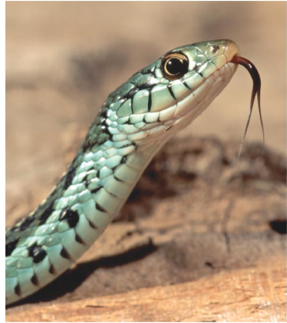 <p>What is habitat isolation?</p><p></p>