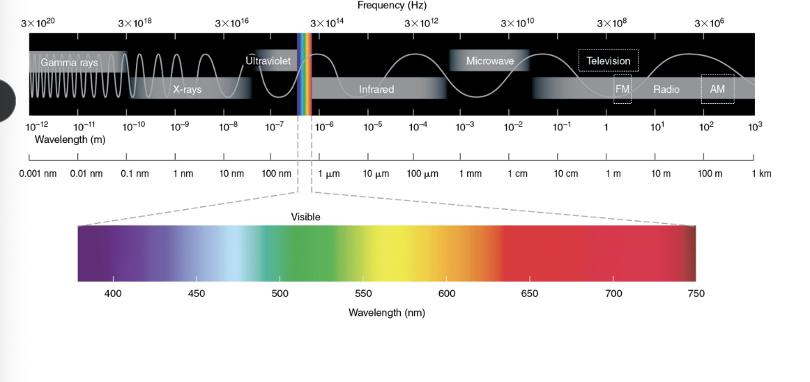 <p>Which one has the highest frequnecy, which one has the lowest?</p>