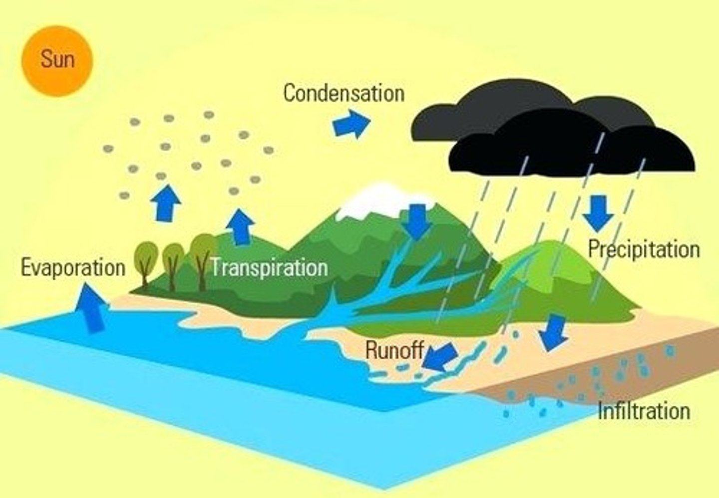 <p>X represents condensation</p>