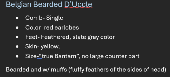 <p>Breed: Belgian Bearded D’uccle</p><p>Variety: Porcelain </p>