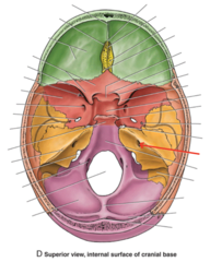 <p>What is the red arrow pointing to?</p>