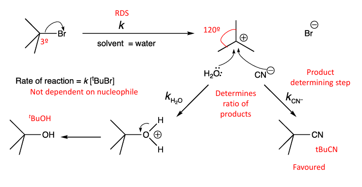 <p>Unimolecular has 2 TS and an intermediate, 1st step (LG leaves) is the RDS, the better the LG (more acidic) and the higher the rate of the rxn.</p><p>Reacts better with soft Nu- (more acidic), and prefers Protic polar solvents eg. MeOH</p><p>coz when LG leaves, the molecule becomes planar and Nu- can attack from any side giving racemic mix</p><p>also the better release of strain the more favourable the rxn</p><p>reacting with tertirary alkyl halides</p><p>Primary alkayl halides do not undergo Sn1</p>