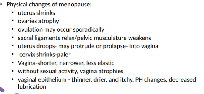 <ul><li><p>menopause: cessation of menses, around 48-51 years</p><ul><li><p>preceding 1-2 years- decline in ovarian function, irregular menses, ovarias stop producing progesterone and estrogen reproductive tract estrogen dependant</p></li></ul></li><li><p>after menopause- ovarian secretion of estrogen and progesterone decreases middle age- 80-90s</p></li><li><p>decrease breast size and elasticity (drooping or sagging)</p></li><li><p>around nipple: lactiferous ducts are more palpable and feel firm and stringy because of fobrosis and calcification</p></li><li><p>axillary hair decreases</p></li></ul><p></p>