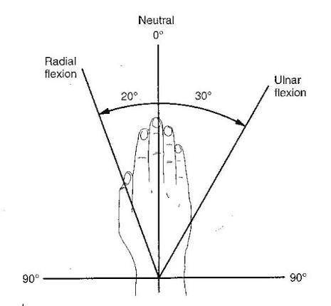 <p>0-20</p>