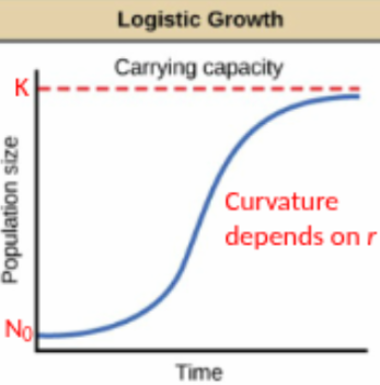 <p>Logistic growth = <strong>population grows fast when small, slows as resources limit growth, and stops at carrying capacity K</strong>, producing an <strong>S-shaped curve</strong>.</p><p>Key Parameters </p><ul><li><p><strong>r</strong> = intrinsic growth rate</p><ul><li><p>Determines how fast the population grows when it’s very small</p></li><li><p>Constant</p></li></ul></li><li><p><strong>K</strong> = carrying capacity</p><ul><li><p>Maximum population size the environment can sustain</p></li><li><p>Population equilibrium occurs at <strong>N = K</strong> </p></li></ul></li></ul><p> How It Works </p><ul><li><p><strong>Small population (N ≪ K):</strong> growth is fast, similar to exponential growth</p></li><li><p><strong>Population grows:</strong> growth rate slows because of density dependence</p></li><li><p><strong>Population reaches K:</strong> growth stops (<strong>dN/dt = 0</strong>), population at equilibrium</p></li></ul><p><strong>Shape:</strong> S-shaped growth curve</p><p> Equation </p><p><strong>dN/dt = rN (1 − N/K)</strong></p><p>Where:</p><ul><li><p><strong>N</strong> = population size at time t</p></li><li><p><strong>dN/dt</strong> = rate of population change</p></li><li><p><strong>r</strong> = intrinsic growth rate</p></li><li><p><strong>K</strong> = carrying capacity</p></li></ul><p><strong>(1 − N/K)</strong> represents <strong>density dependence</strong>: growth slows as N approaches K.</p>
