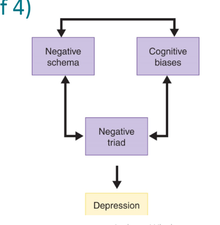 <p>Consists of Negative triad, negative Schema, Cognitive biases </p><p>3 negative thinking patterns</p><p>Negative triad: negative view of self</p><p>Negative schema: Negative view of world</p><p>Cognitive biases: process info negative</p>