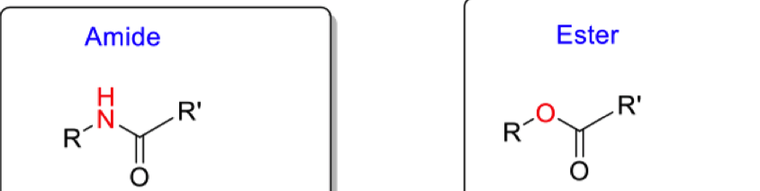 <p>Compare reactivities of amide and ester (draw resonance structures)</p>