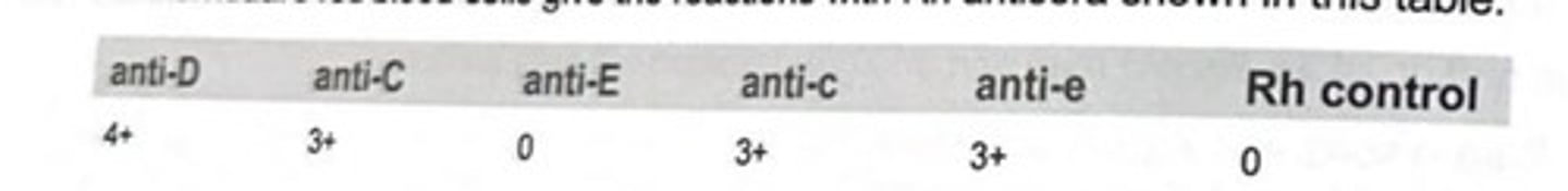 <p>An individual's red blood cells give the reactions with Rh antisera shown in the table. The individual's most probable genotype is:</p><p>a DCe/DcE</p><p>b DcE/dce</p><p>c Dce/dce</p><p>d DCe/dce</p>