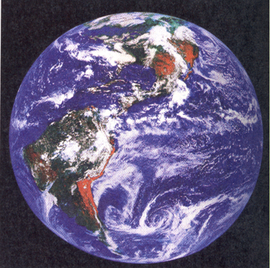 <p>the whole earth ecosystem</p>
