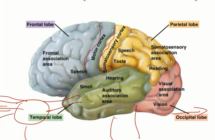 <p>Know this</p>