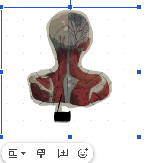 term image