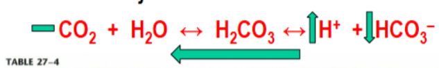 <p>caused by addition of other acids than CO2 or H2CO3 or removal of alkali (fixed PCO2). This can be caused by lowered urinary secretion of H+, ketoacidosis, lactic acidosis or HCO3- loss (as in severe diarrhea)</p>