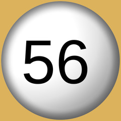 <p>56</p>