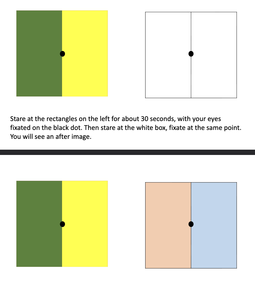 <p>One weakness of the trichromatic theory is that it fails to explain<br>COMPLEMENTARY AFTERIMAGE</p>